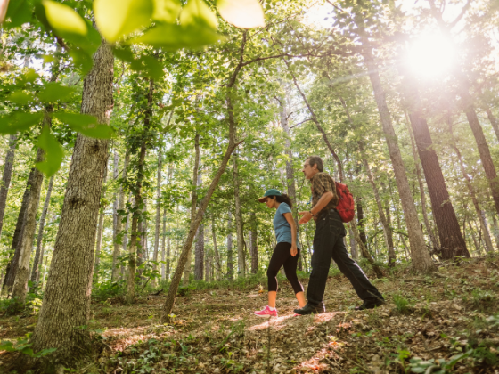 couple hiking in the woods - stock photo.